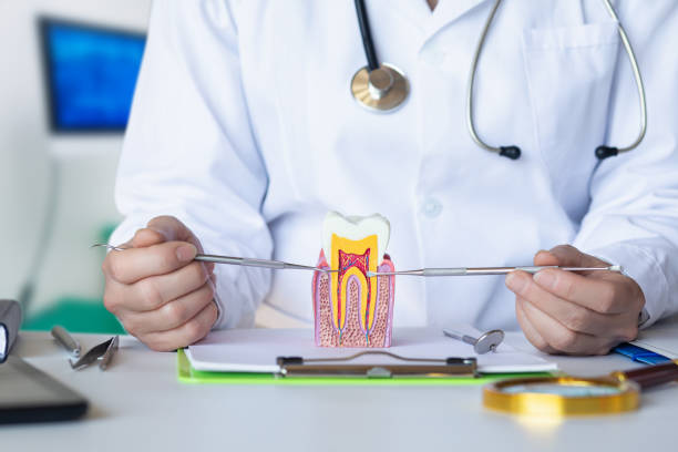 Best After-Hours Dental Trauma Care in Margaret, AL